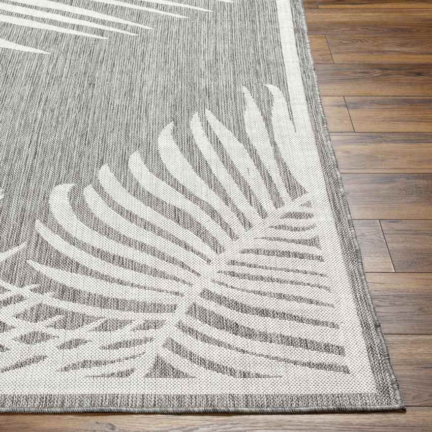 Tescott Coastal Dark Gray Area Rug
