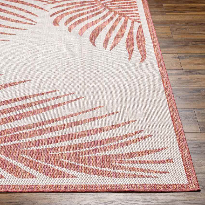 Tescott Coastal Dark Coral/Ivory Area Rug