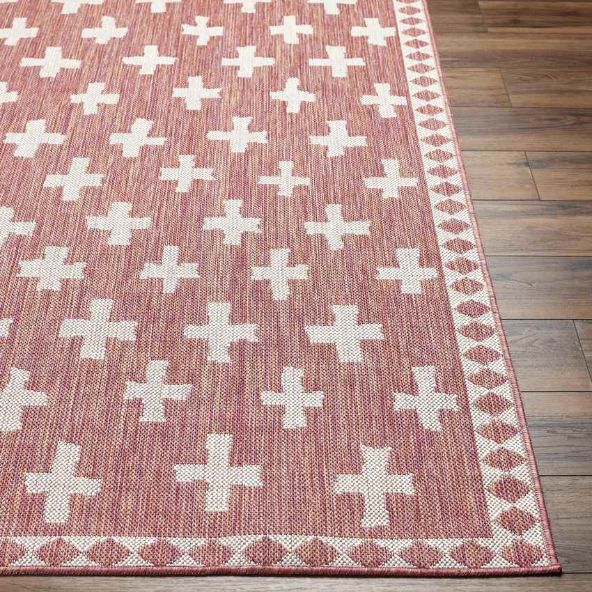 Thornhill Global Dark Coral Area Rug