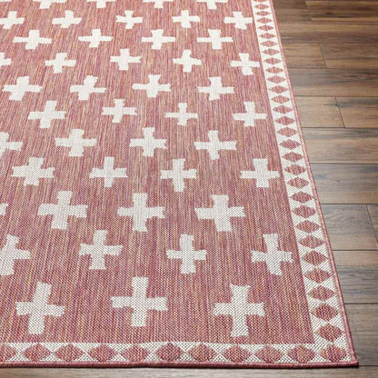 Thornhill Global Dark Coral Area Rug
