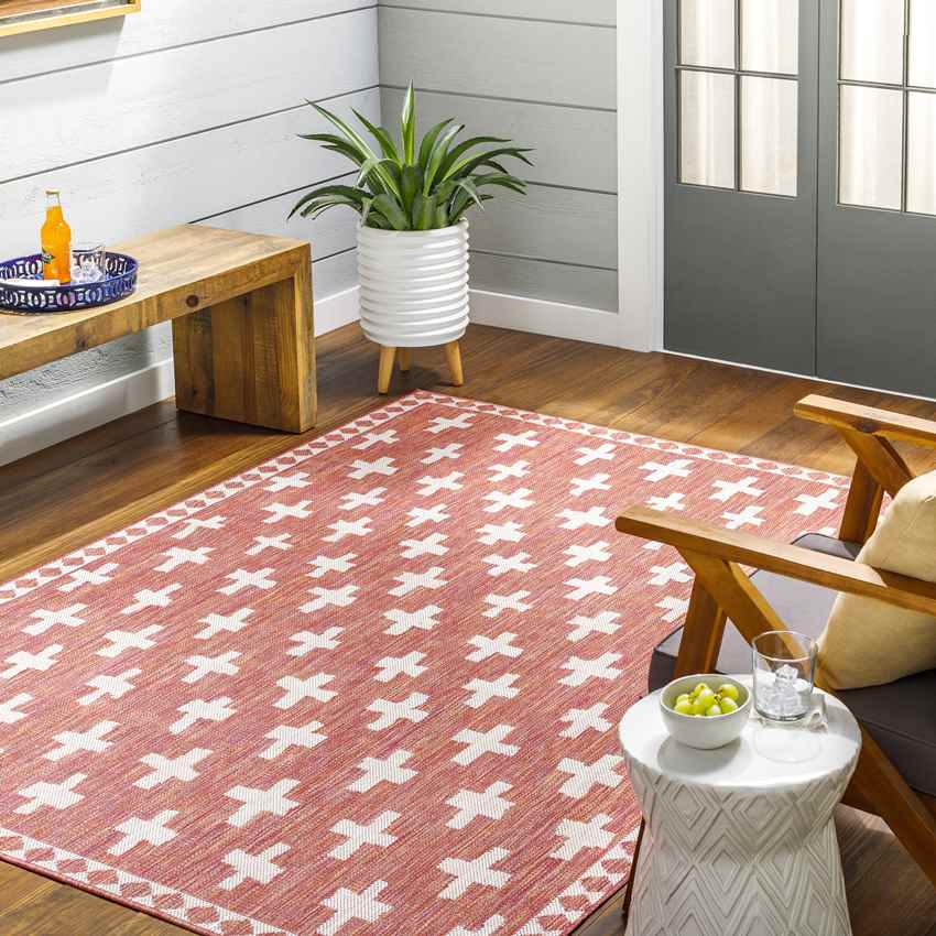 Thornhill Global Dark Coral Area Rug