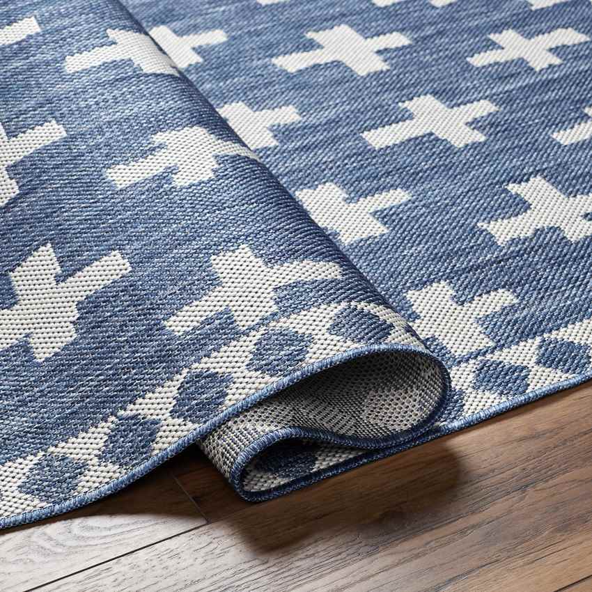 Thornhill Global Navy Area Rug