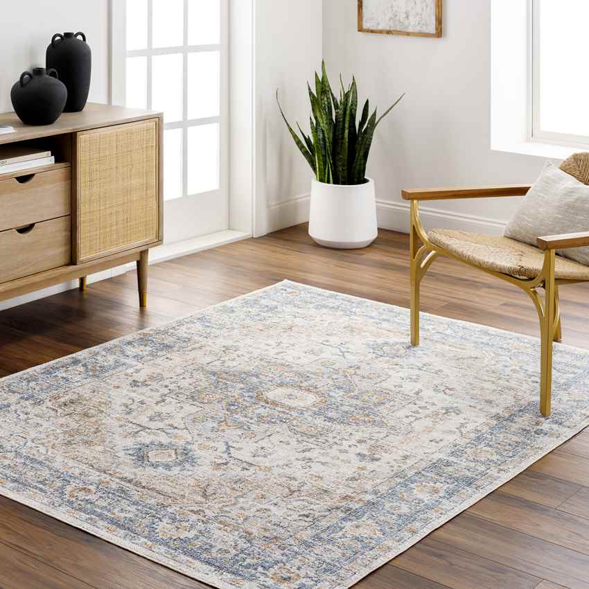 Estill Traditional Beige Washable Area Rug