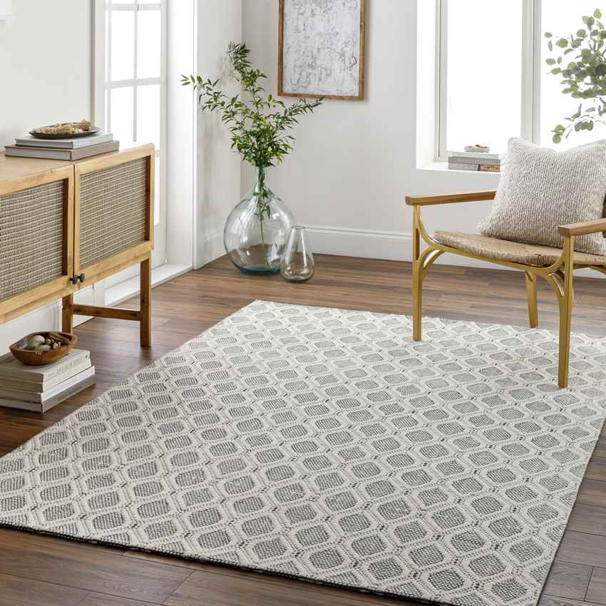 De Witt Modern Charcoal Area Rug