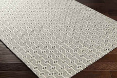 Decorah Modern Charcoal Area Rug