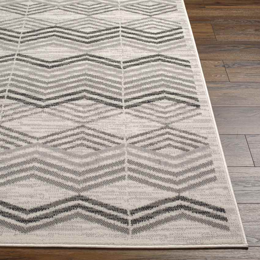 Burden Modern Charcoal Area Rug