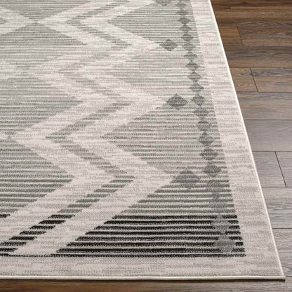 Burdett Global Charcoal Area Rug