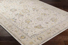 Falls Traditional Ivory Area Rug