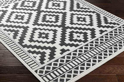 Bushong Modern Black Area Rug