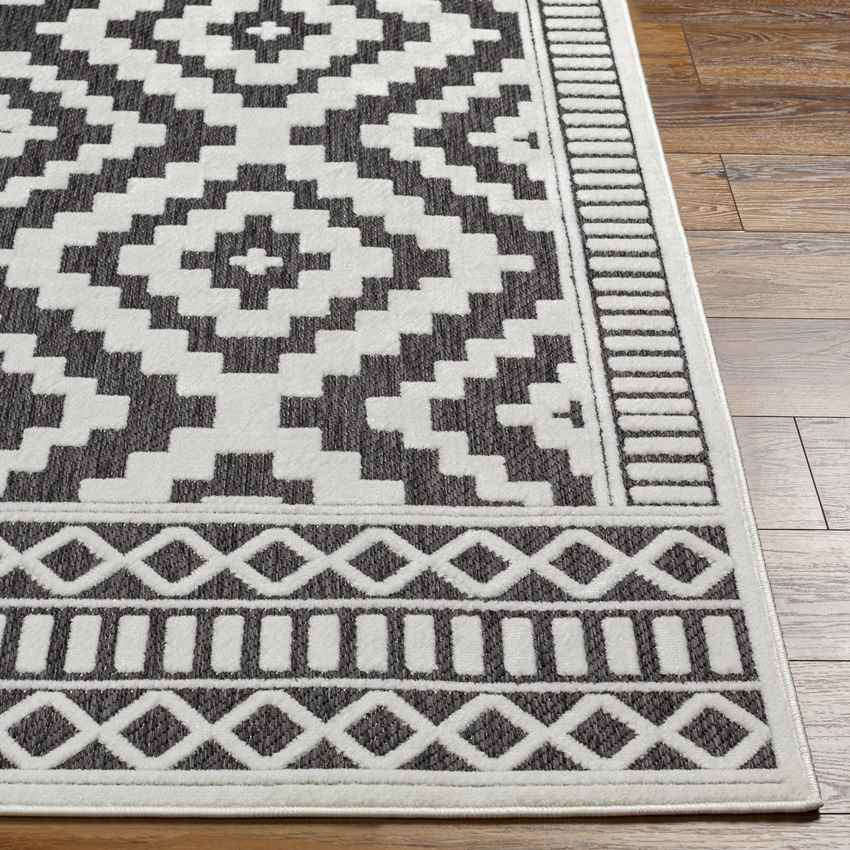 Bushong Modern Black Area Rug