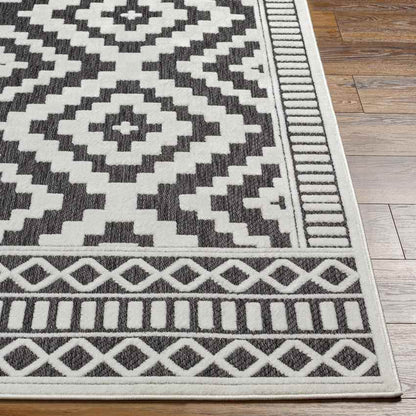Bushong Modern Black Area Rug