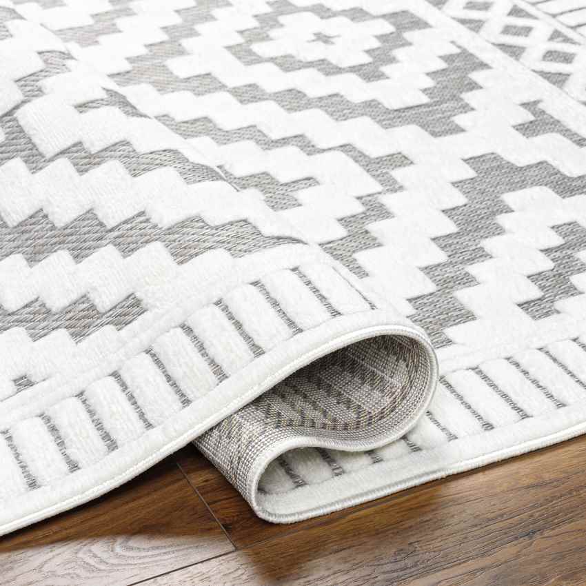 Bushong Modern Gray Area Rug