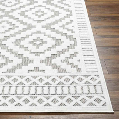 Bushong Modern Gray Area Rug