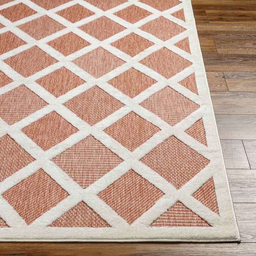 Calloway Modern Burnt Orange Area Rug