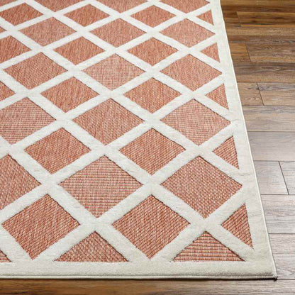 Calloway Modern Burnt Orange Area Rug