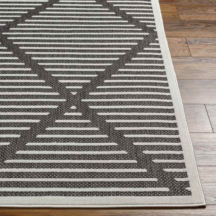 Calvert Modern Charcoal Area Rug