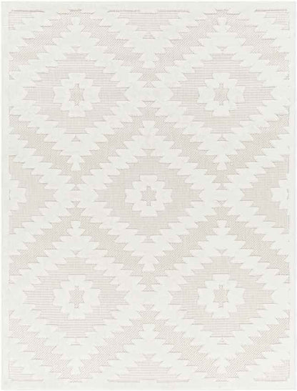 Camanche Modern Ivory Area Rug