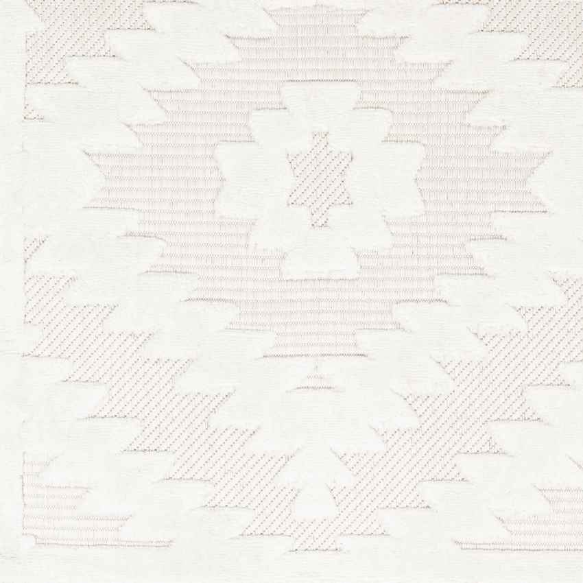 Camanche Modern Ivory Area Rug
