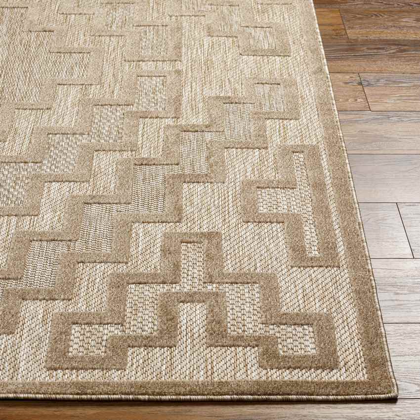 Capel Modern Brown Area Rug