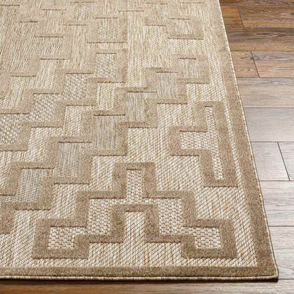 Capel Modern Brown Area Rug