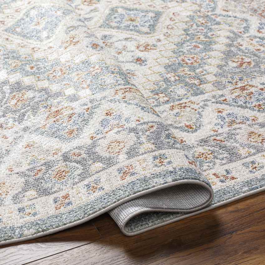 Wakefield Traditional Beige Washable Area Rug