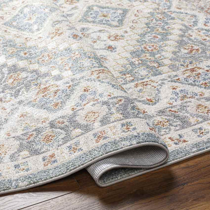 Wakefield Traditional Beige Washable Area Rug
