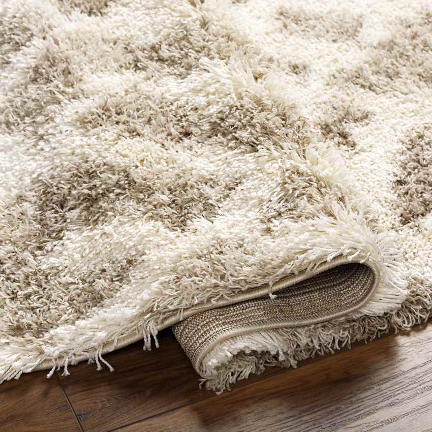 Boardman Global Beige Area Rug