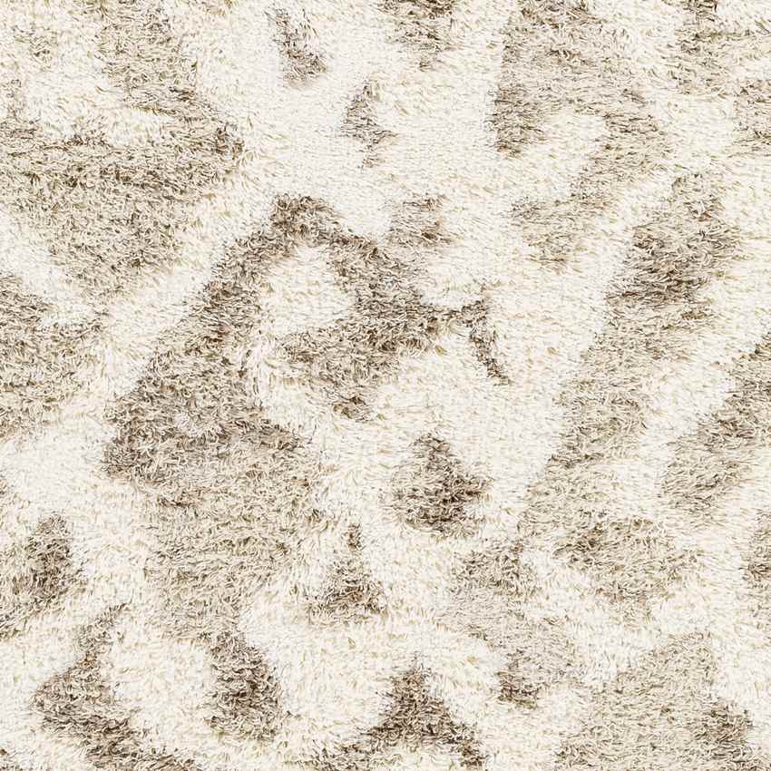 Boardman Global Beige Area Rug