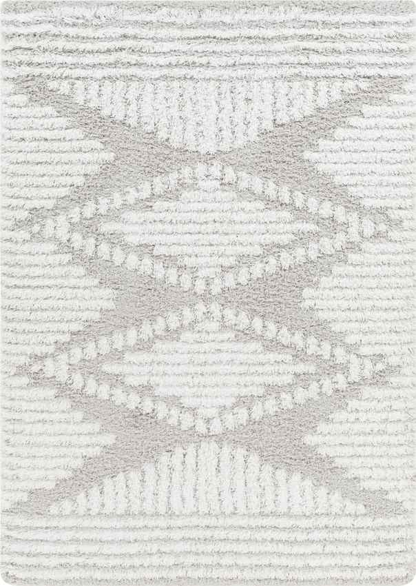 Bonaparte Global Light Gray Area Rug