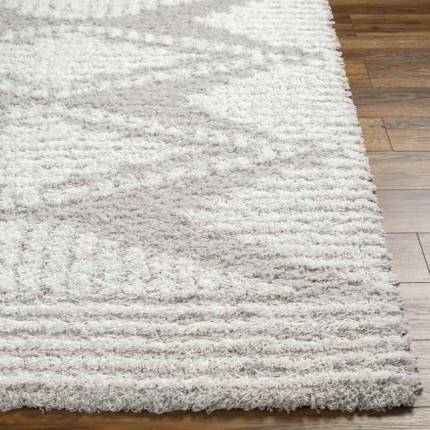Bonaparte Global Light Gray Area Rug