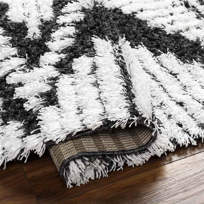 Bonaparte Global Black Area Rug