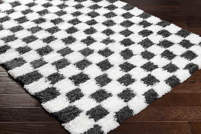 Bondurant Modern Black Area Rug