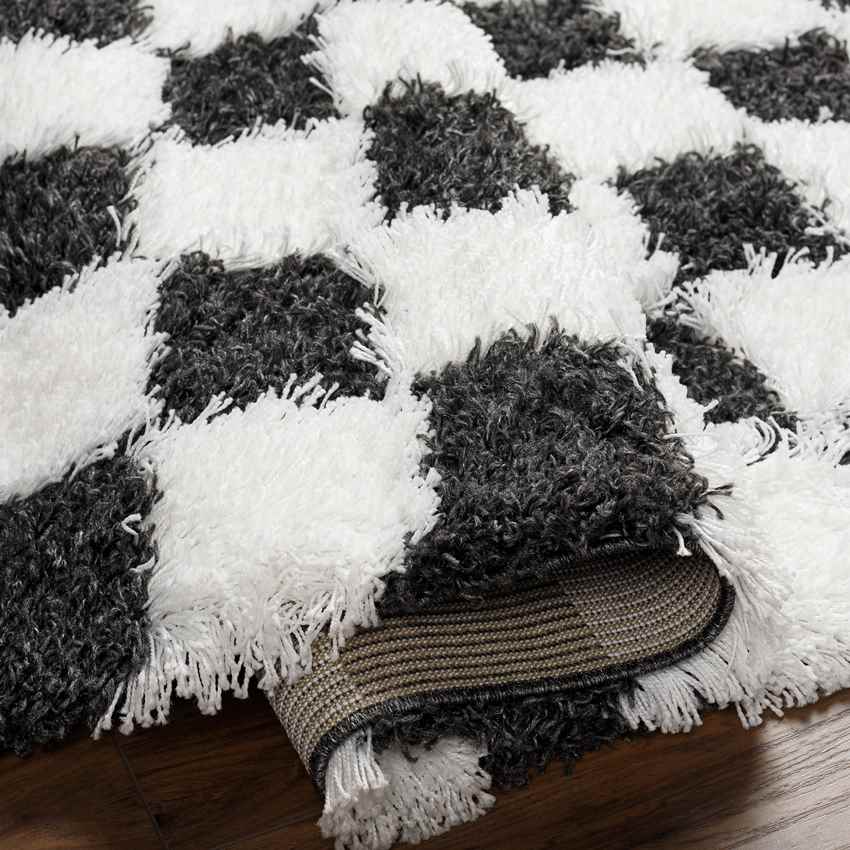Bondurant Modern Black Area Rug