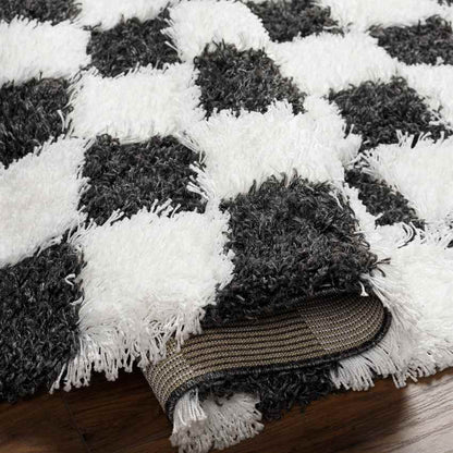 Bondurant Modern Black Area Rug