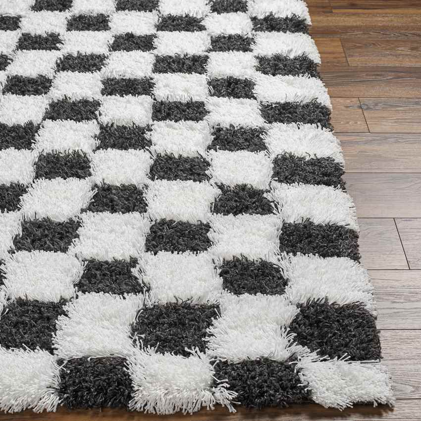 Bondurant Modern Black Area Rug