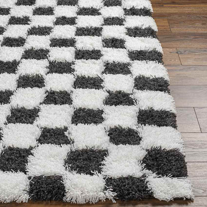 Bondurant Modern Black Area Rug