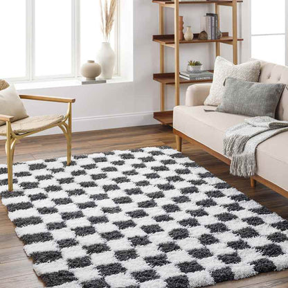 Bondurant Modern Black Area Rug