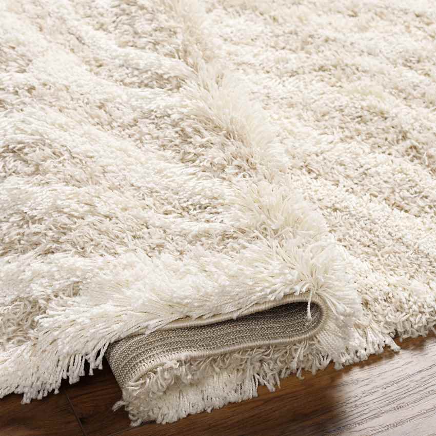 Boomer Modern Light Beige Area Rug
