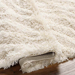 Boomer Modern Light Beige Area Rug