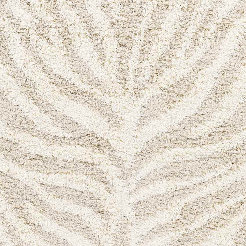 Boomer Modern Light Beige Area Rug