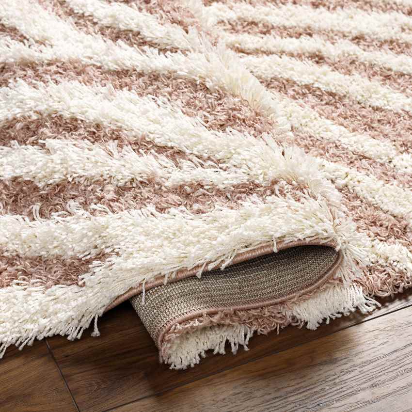 Boomer Modern Peach Area Rug