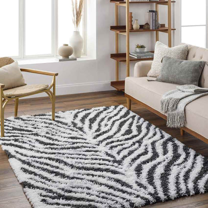Boomer Modern Black Area Rug