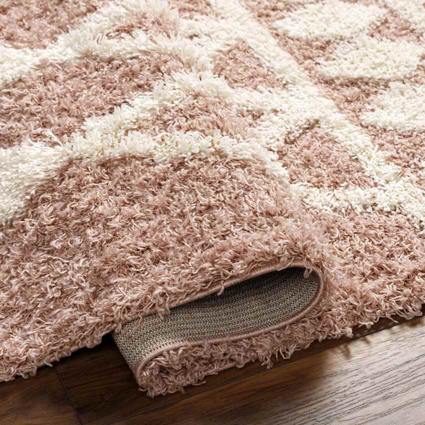 Booth Modern Peach Area Rug