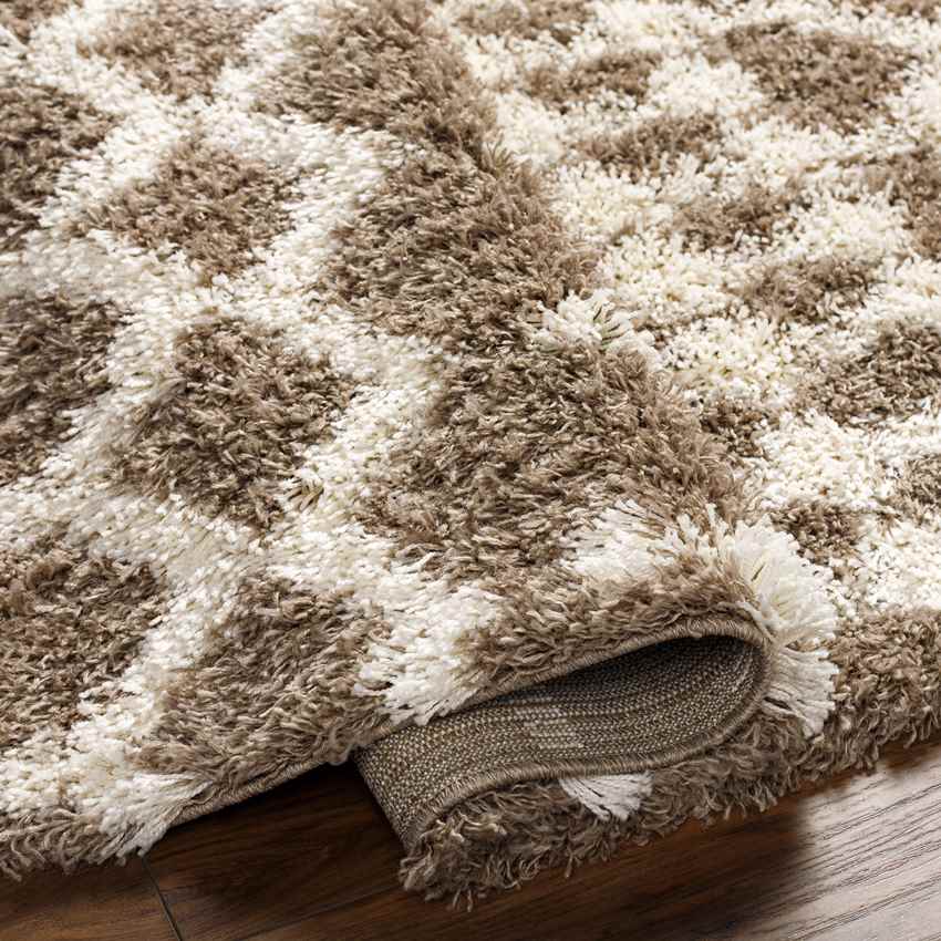 Carter Global Taupe Area Rug