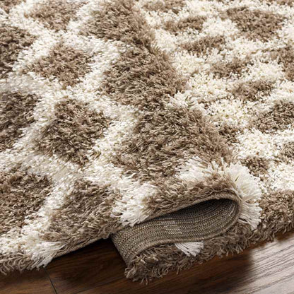 Carter Global Taupe Area Rug