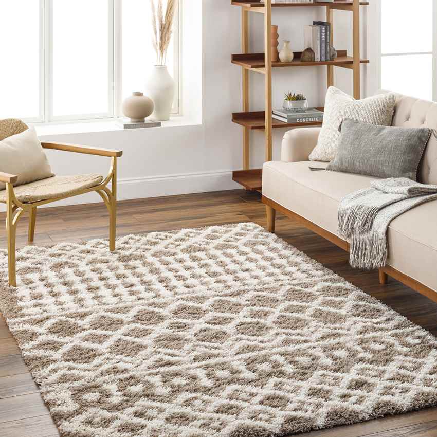 Carter Global Taupe Area Rug