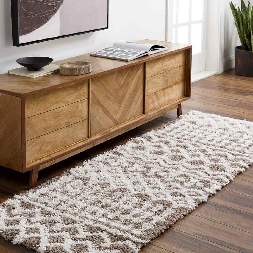 Carter Global Taupe Area Rug