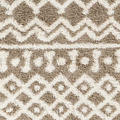 Carter Global Taupe Area Rug