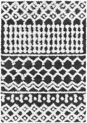 Carter Global Black Area Rug