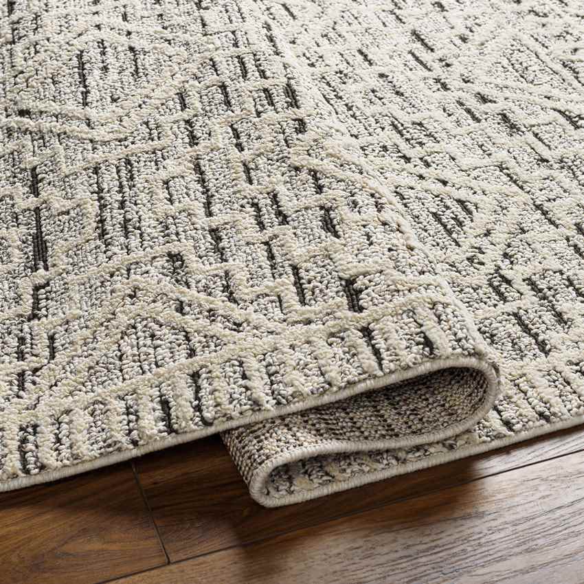 Circleville Global Charcoal Area Rug